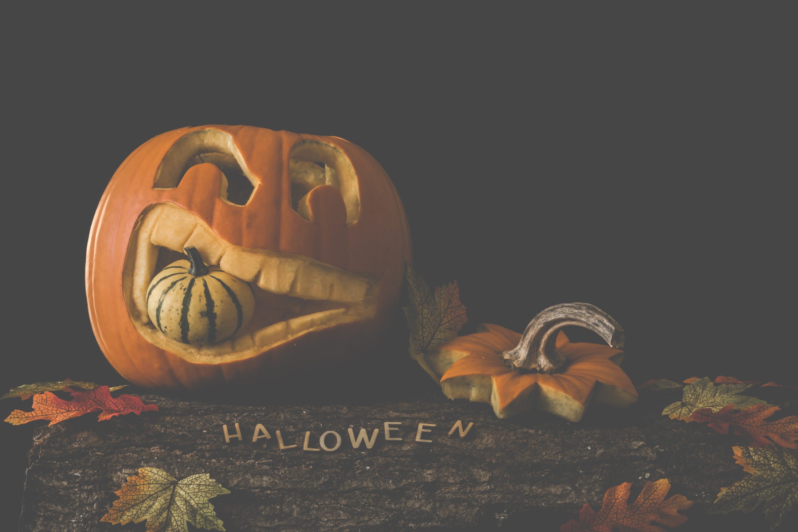 You are currently viewing Halloween – custom, fashion trend or just money-making?